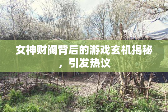 女神财阀背后的游戏玄机揭秘，引发热议
