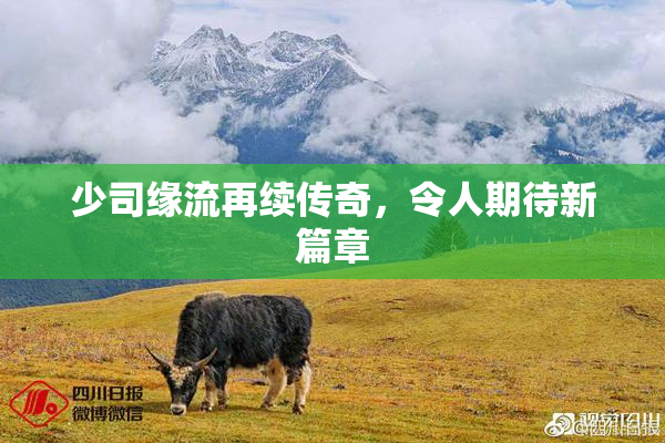 少司缘流再续传奇，令人期待新篇章