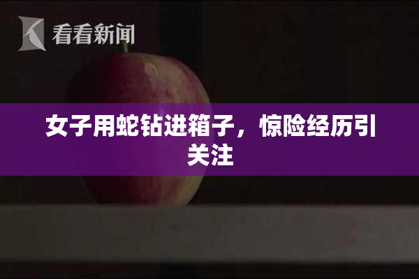 女子用蛇钻进箱子，惊险经历引关注