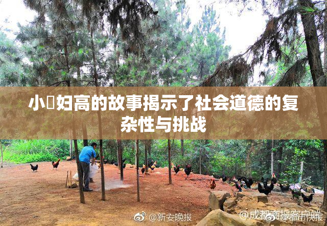 小婬妇高的故事揭示了社会道德的复杂性与挑战