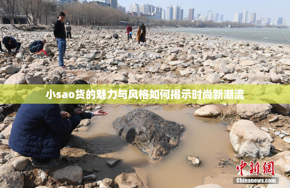 小sao货的魅力与风格如何揭示时尚新潮流