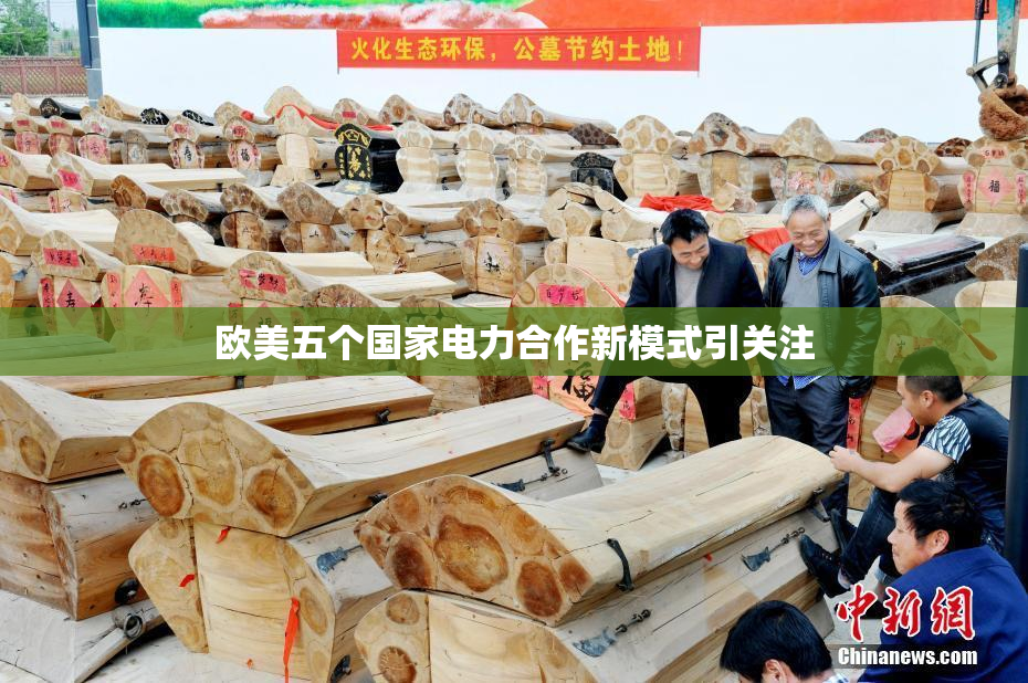 欧美五个国家电力合作新模式引关注