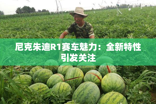 尼克朱迪R1赛车魅力：全新特性引发关注