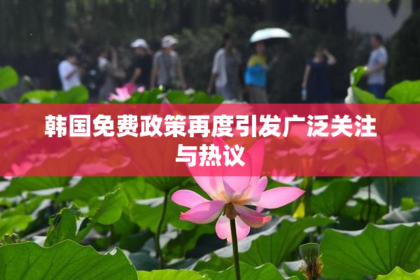 韩国免费政策再度引发广泛关注与热议