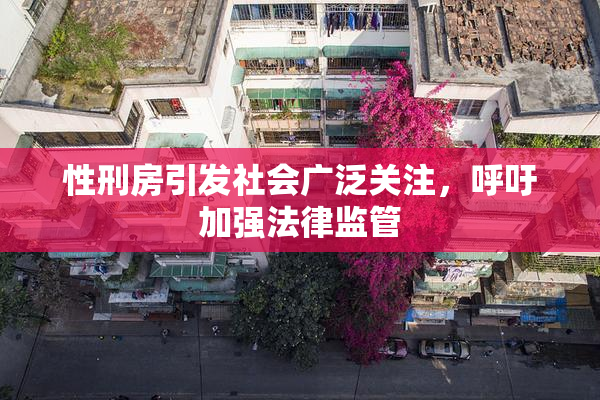 性刑房引发社会广泛关注，呼吁加强法律监管