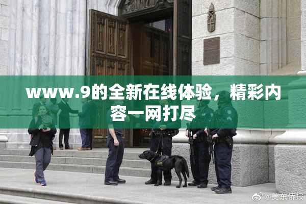 www.9的全新在线体验，精彩内容一网打尽