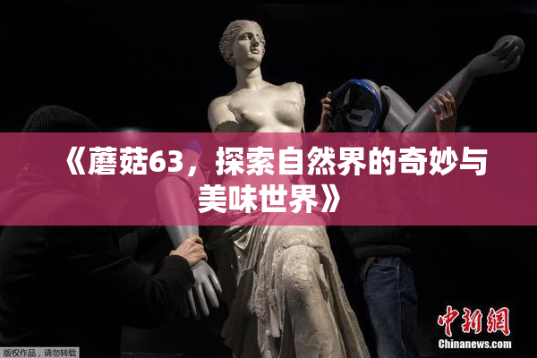 《蘑菇63，探索自然界的奇妙与美味世界》