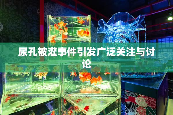 尿孔被灌事件引发广泛关注与讨论