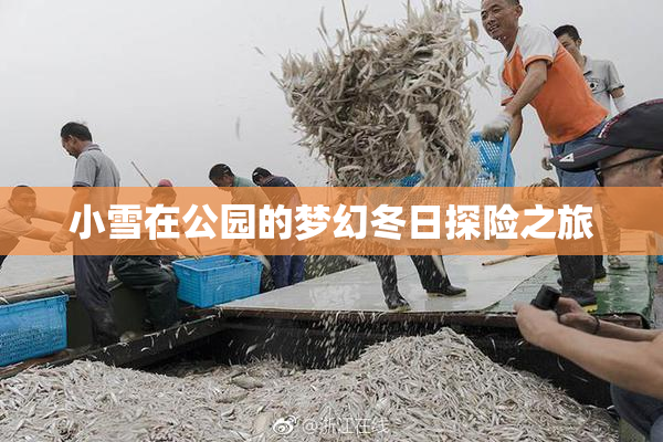 小雪在公园的梦幻冬日探险之旅