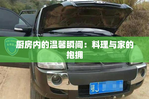 厨房内的温馨瞬间：料理与家的抱拥