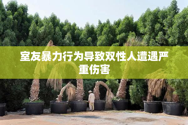 室友暴力行为导致双性人遭遇严重伤害