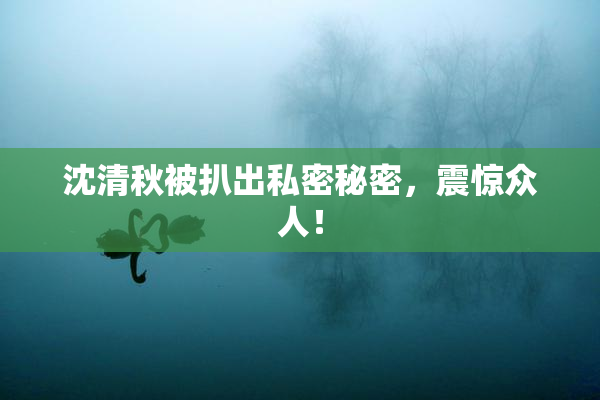 沈清秋被扒出私密秘密，震惊众人！