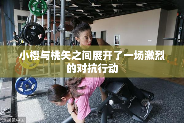 小樱与桃矢之间展开了一场激烈的对抗行动