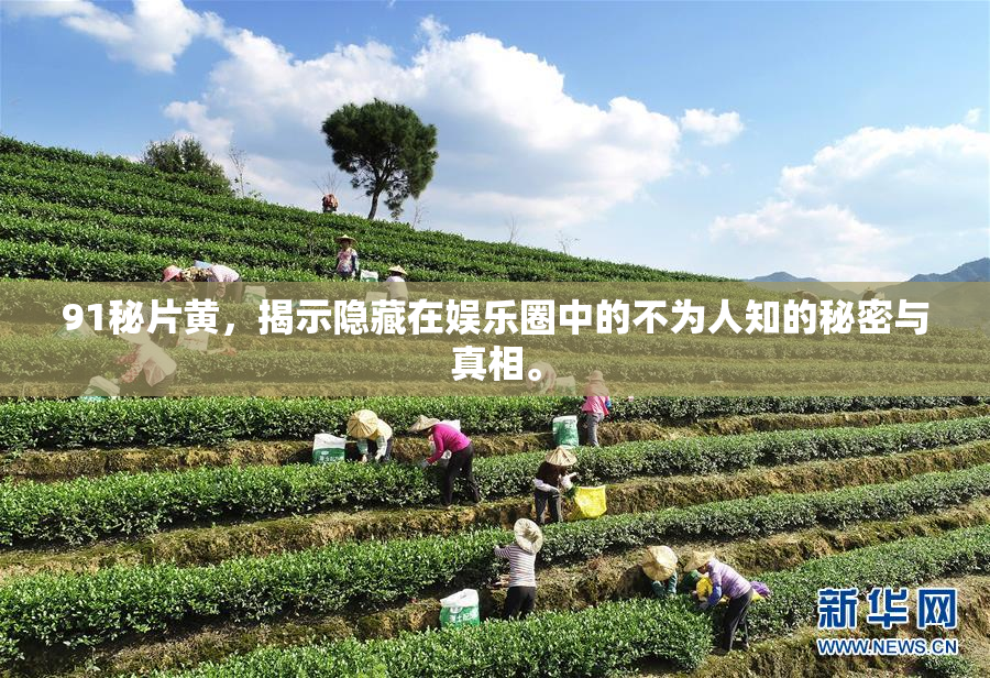 91秘片黄，揭示隐藏在娱乐圈中的不为人知的秘密与真相。