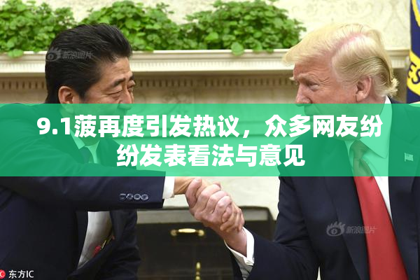 9.1菠再度引发热议，众多网友纷纷发表看法与意见