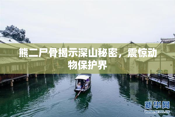 熊二尸骨揭示深山秘密，震惊动物保护界