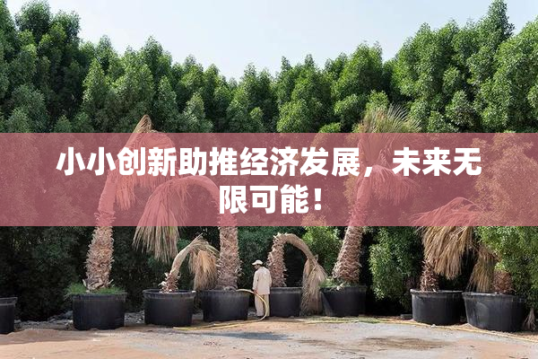 小小创新助推经济发展，未来无限可能！