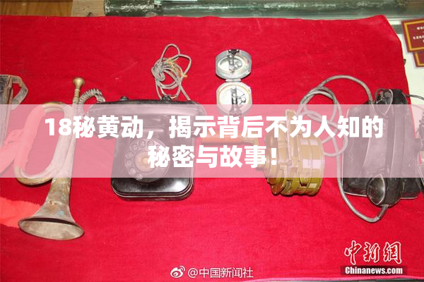 18秘黄动，揭示背后不为人知的秘密与故事！