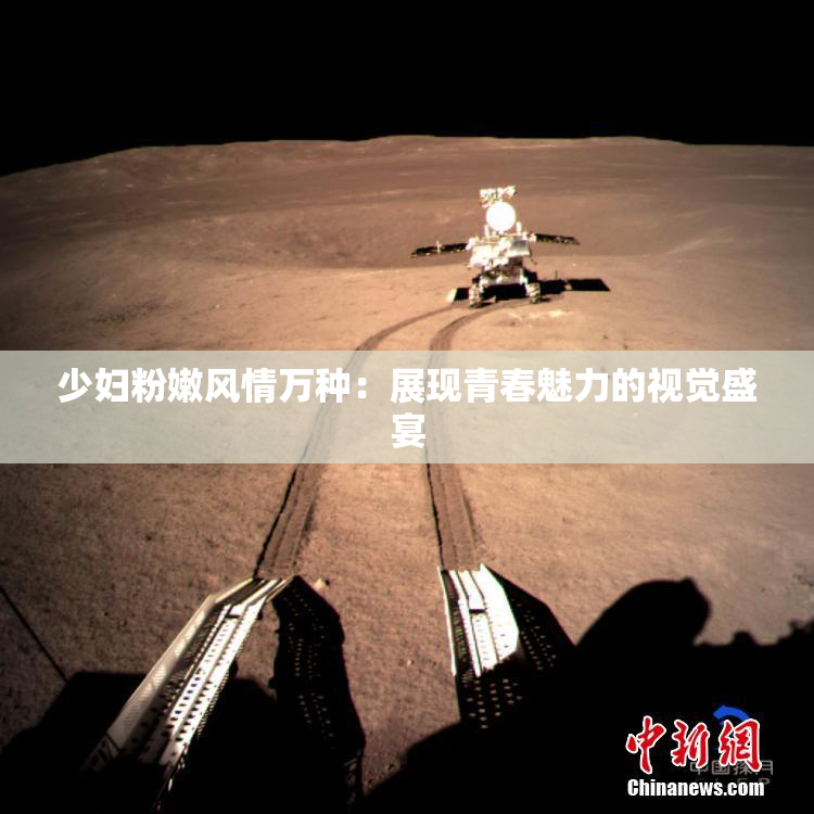 少妇粉嫩风情万种：展现青春魅力的视觉盛宴