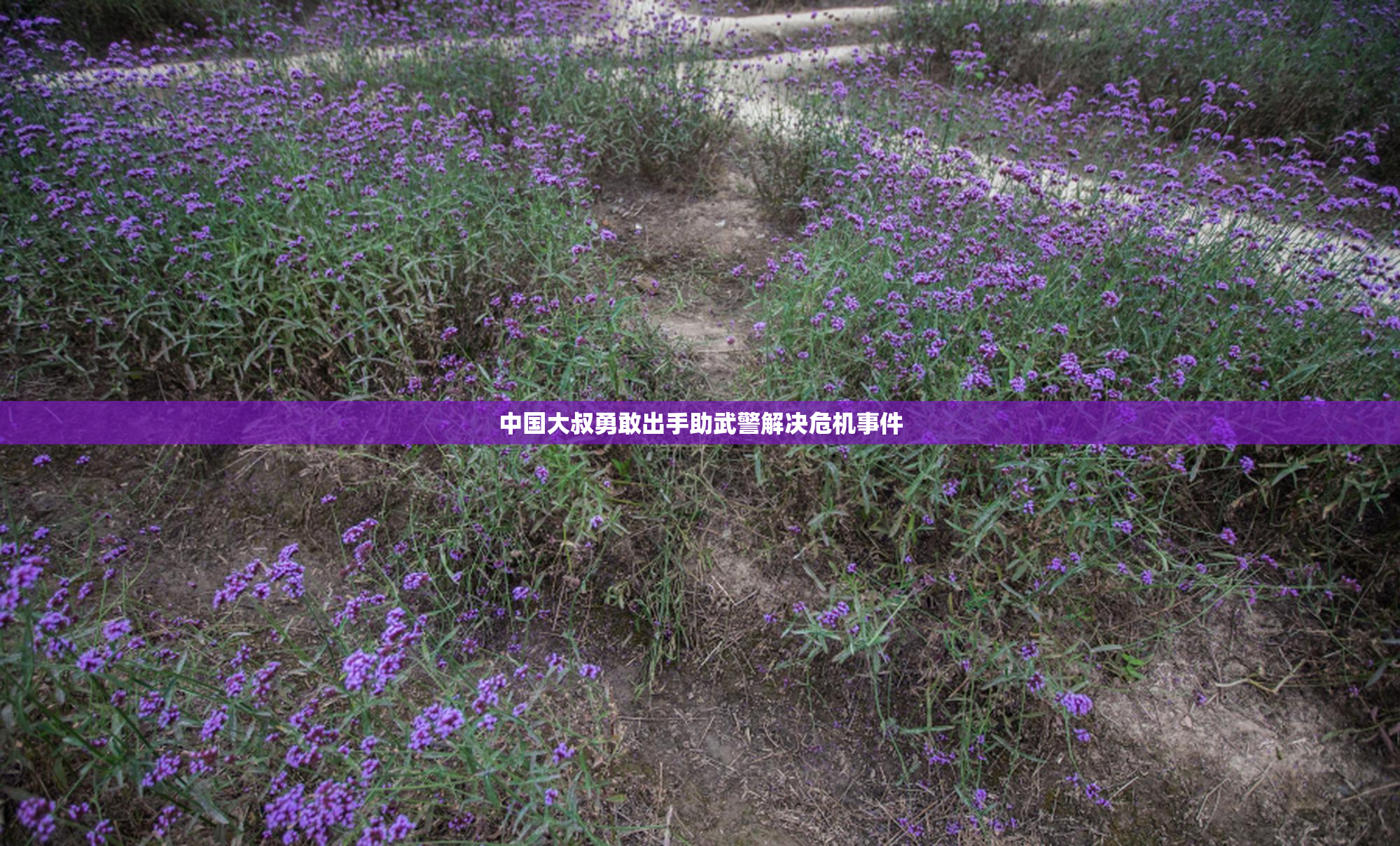 中国大叔勇敢出手助武警解决危机事件