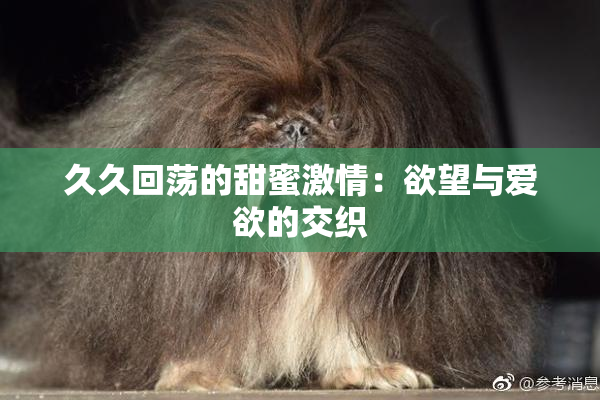 久久回荡的甜蜜激情：欲望与爱欲的交织