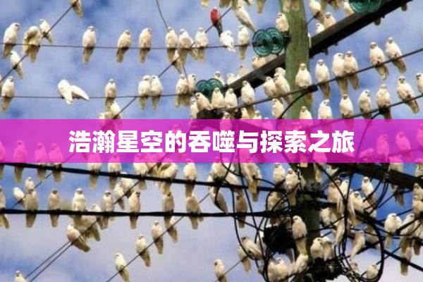 浩瀚星空的吞噬与探索之旅
