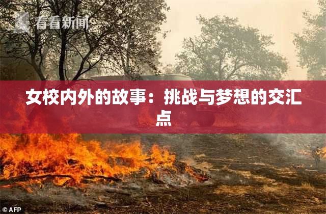 女校内外的故事：挑战与梦想的交汇点