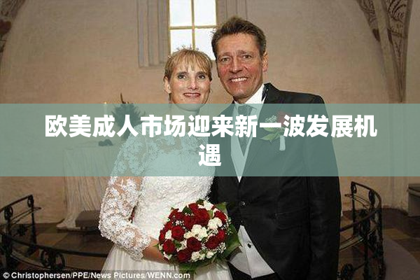 欧美成人市场迎来新一波发展机遇