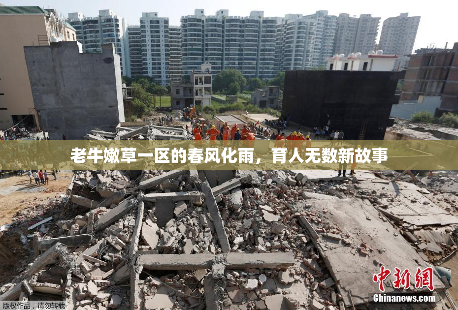 老牛嫩草一区的春风化雨，育人无数新故事