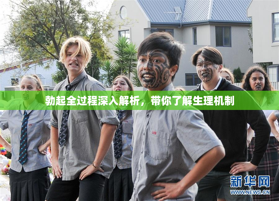 勃起全过程深入解析，带你了解生理机制