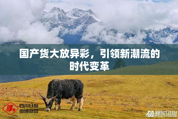 国产货大放异彩，引领新潮流的时代变革