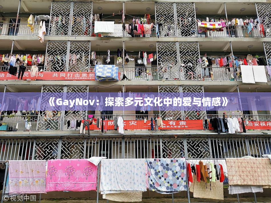 《GayNov：探索多元文化中的爱与情感》