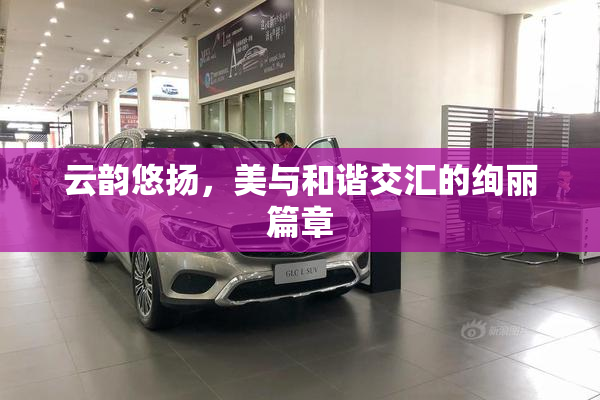 云韵悠扬，美与和谐交汇的绚丽篇章