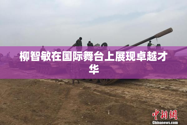 柳智敏在国际舞台上展现卓越才华