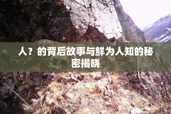 人？的背后故事与鲜为人知的秘密揭晓