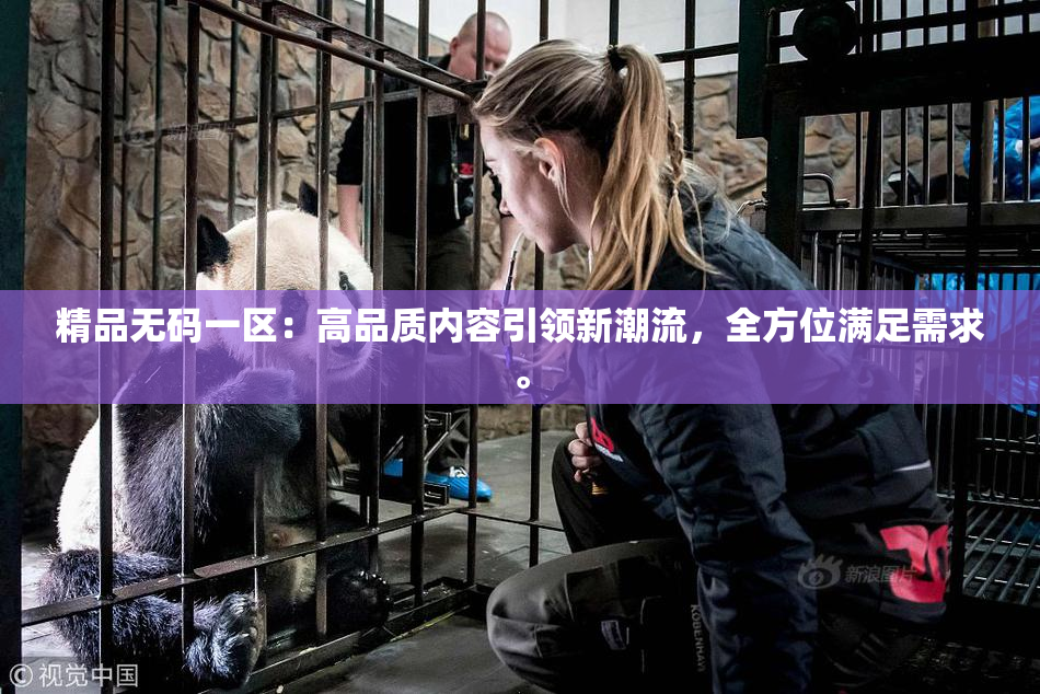 精品无码一区：高品质内容引领新潮流，全方位满足需求。