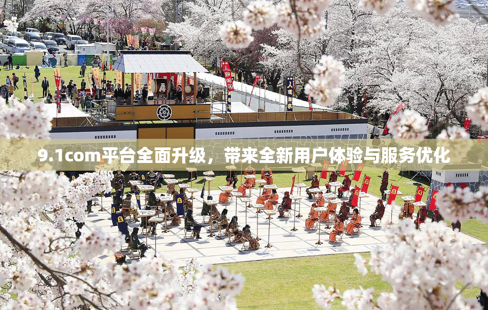 9.1com平台全面升级，带来全新用户体验与服务优化