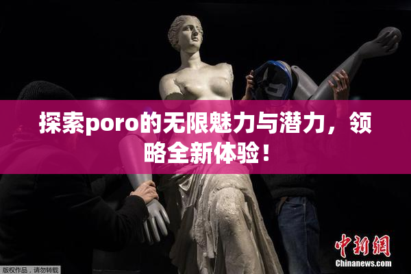 探索poro的无限魅力与潜力，领略全新体验！