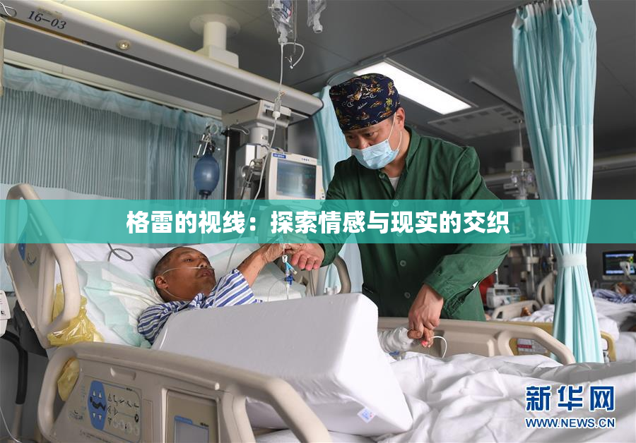 格雷的视线：探索情感与现实的交织