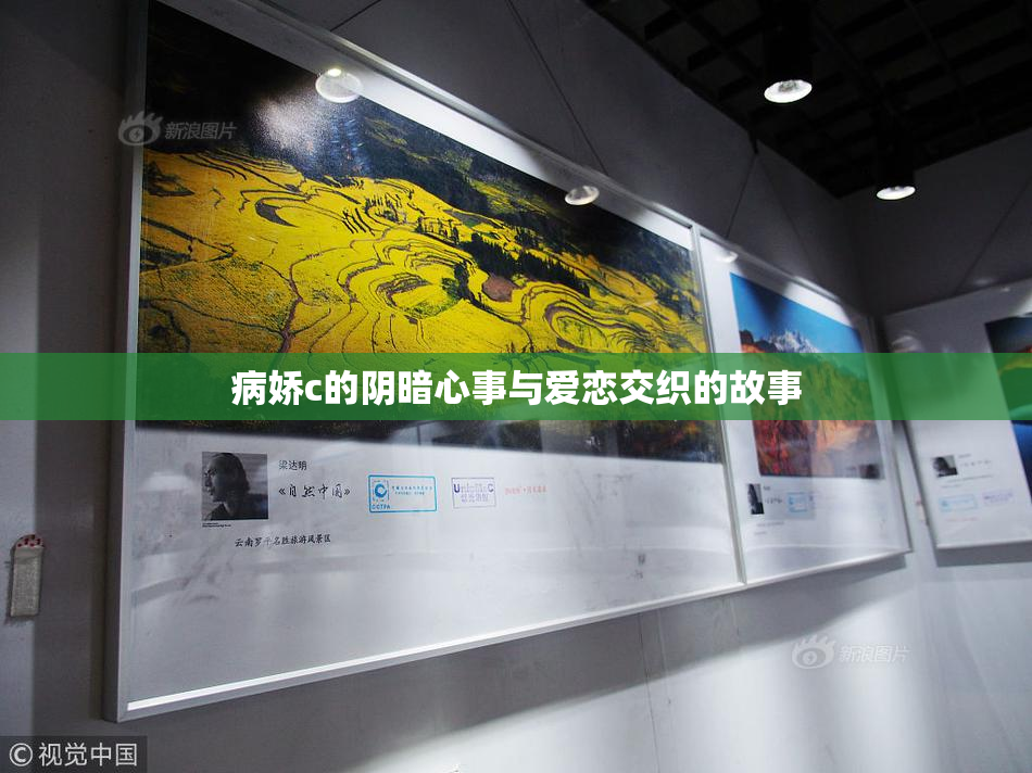 病娇c的阴暗心事与爱恋交织的故事