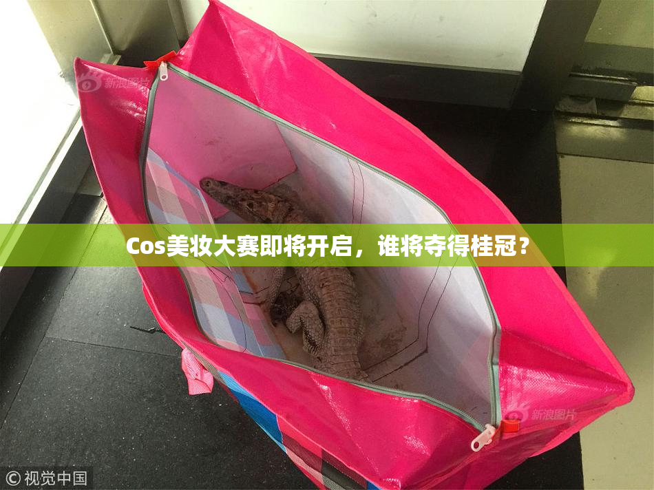 Cos美妆大赛即将开启，谁将夺得桂冠？