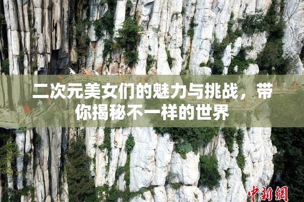 二次元美女们的魅力与挑战，带你揭秘不一样的世界