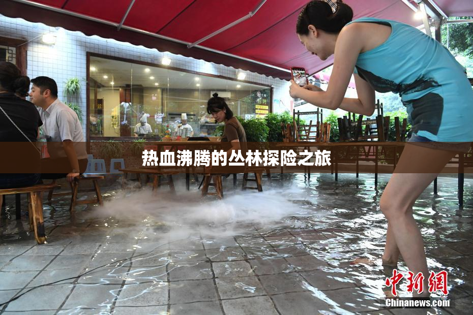 热血沸腾的丛林探险之旅