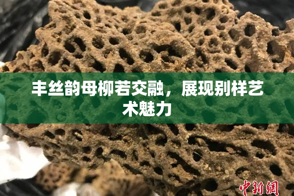 丰丝韵母柳若交融，展现别样艺术魅力