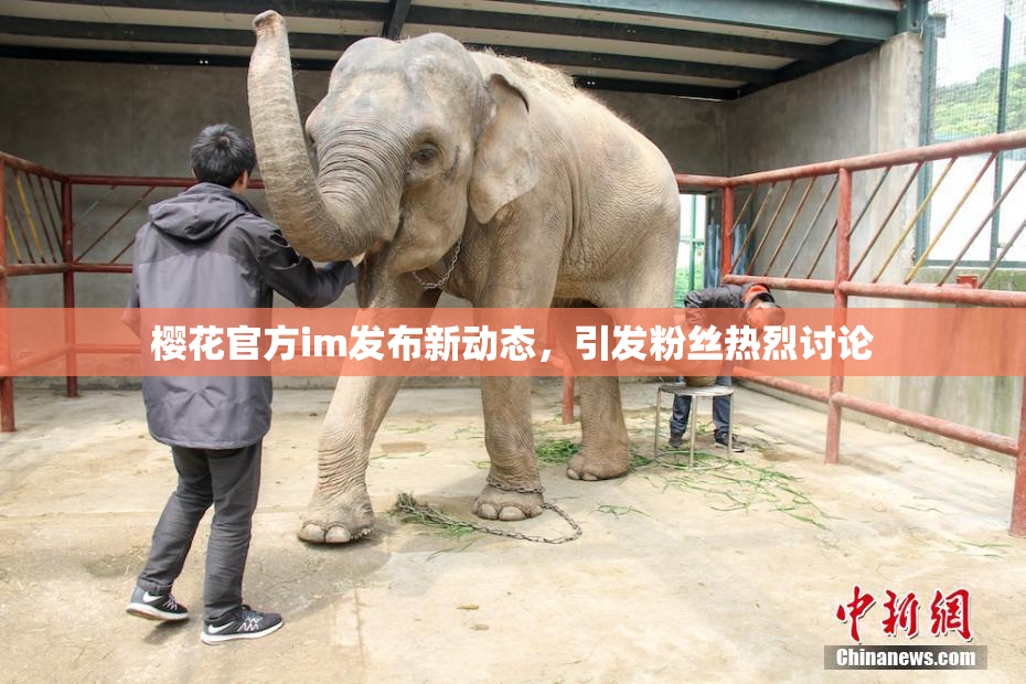 樱花官方im发布新动态，引发粉丝热烈讨论