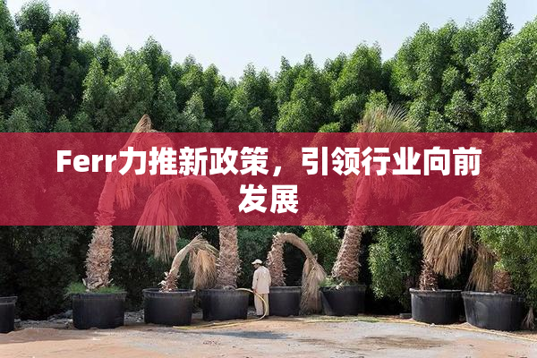 Ferr力推新政策，引领行业向前发展