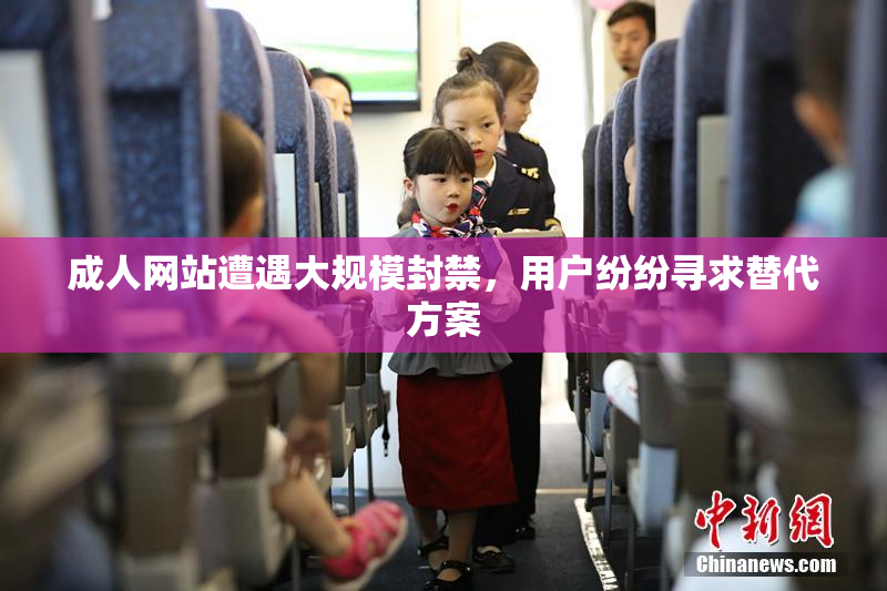 成人网站遭遇大规模封禁，用户纷纷寻求替代方案