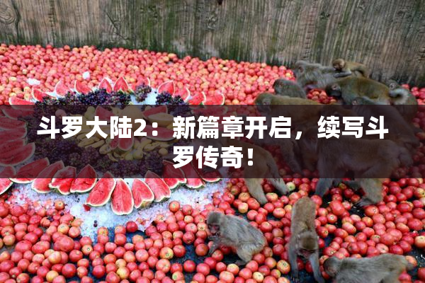 斗罗大陆2：新篇章开启，续写斗罗传奇！