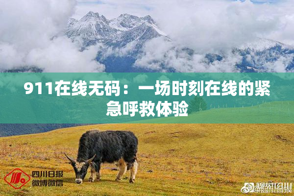 911在线无码：一场时刻在线的紧急呼救体验