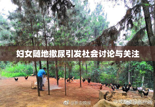 妇女随地撒尿引发社会讨论与关注